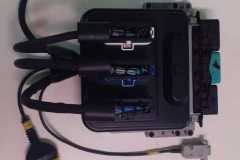 IMG-20211005-WA0003