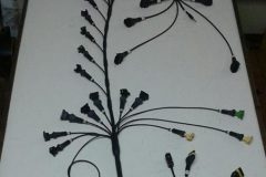 cropped-15284150_1646464602319191_4285980143906799618_n